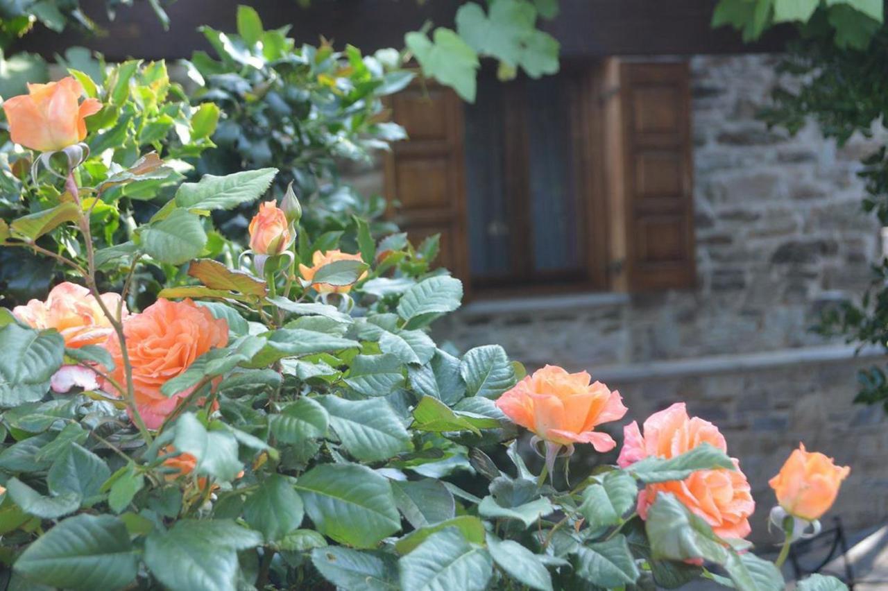 Triantafillies Guesthouse Portariá Eksteriør bilde